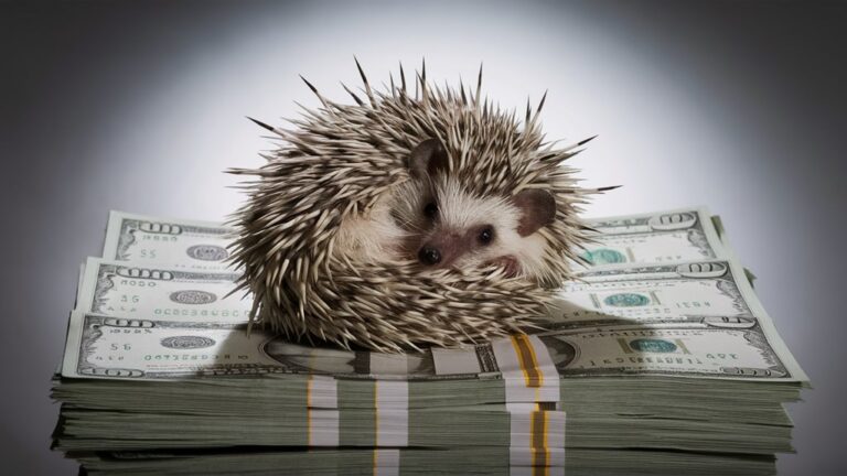 protect money like hedgehog
